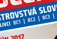 BOCCIA-MSR-2017